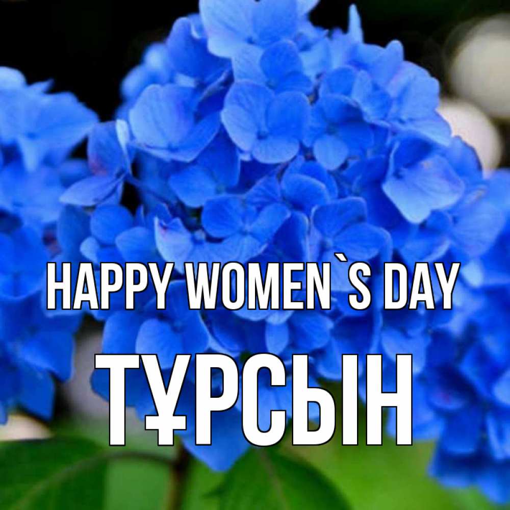 Greetings card с именем, ТҰРСЫН happy women`s day синие цветы Greetings with text for free download 